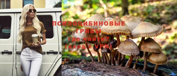 гашик Семилуки