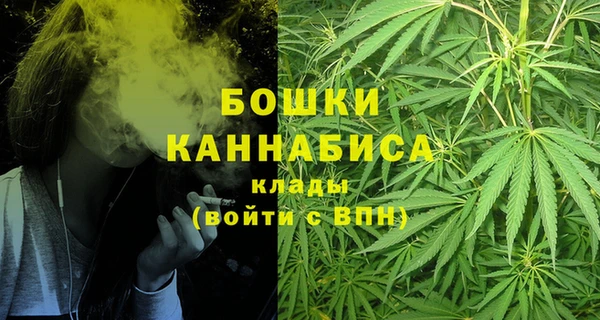 спиды Бронницы